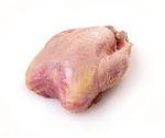 Partridge