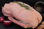 Free Range Goose